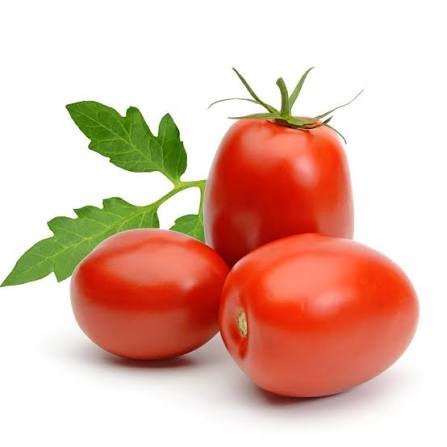 Tomate italiano